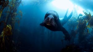 Pristine Seas: The Power of Protection — foto 4