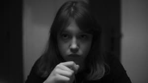 Hippo — foto 10