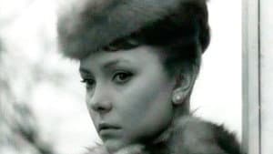 Шуточка — foto 1