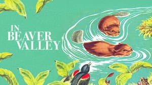 Beaver Valley — foto 3