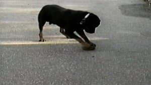 Episodio 2