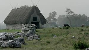 Ingmar Bergman: 3 dokumentärer om film, teatern, Fårö och livet av Marie Nyreröd — foto 4