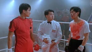 新精武門1991 — foto 11