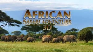 African Safari Adventure — foto 1