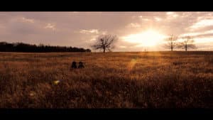 The Lonesome Pony — foto 6