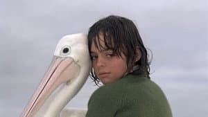 Storm Boy — foto 1