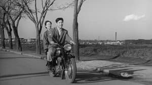 人情馬鹿 — foto 1
