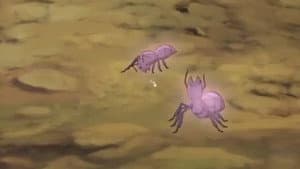 Episodio 5