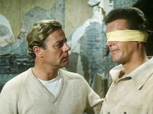 Episodio 14
