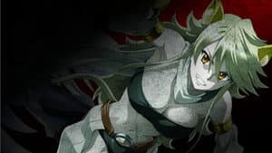 Akame ga Kill! — foto 11