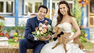 All of My Heart: The Wedding — foto 7