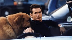 Tequila and Bonetti — foto 2
