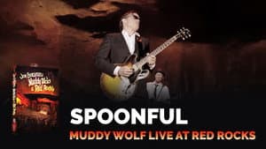 Joe Bonamassa - Muddy Wolf at Red Rocks — foto 2