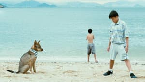 野草 — foto 1