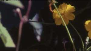 Bouquets 31-40 — foto 1