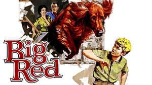 Big Red — foto 4