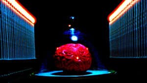 My Dead Wife's New Brain — foto 2