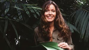 Jungla — foto 1