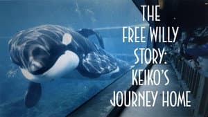 The Free Willy Story - Keiko's Journey Home — foto 1