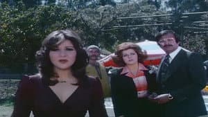 قطة على نار — foto 5