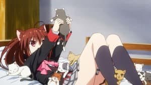 Episodio 11