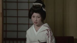 温泉こんにゃく芸者 — foto 1