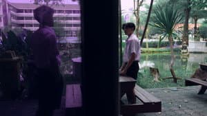 ความลับในฝูงนก — foto 1