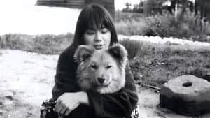 生まれた場所 — foto 5