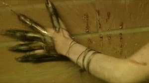 The Death Factory: Bloodletting — foto 4