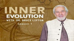 Inner Evolution — foto 2