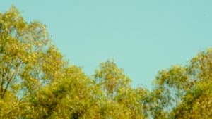 Percepción — foto 4
