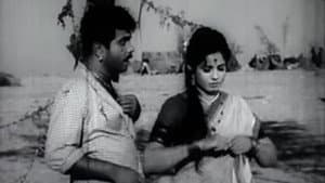 डोंगरची मैना — foto 1