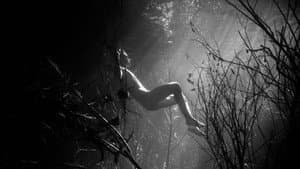 Swimmer — foto 2