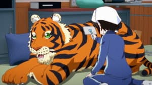 Episodio 5