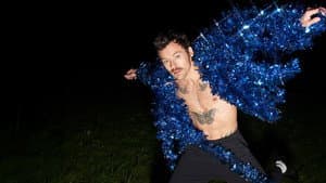 Harry Styles: Una noche en Manchester — foto 1