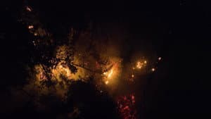 Como Matar um Rio — foto 5