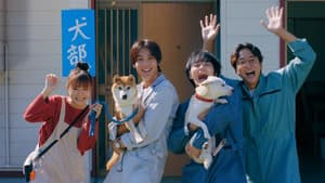 犬部！ — foto 1