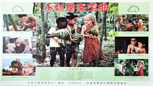 小刺猬奏鸣曲 — foto 1