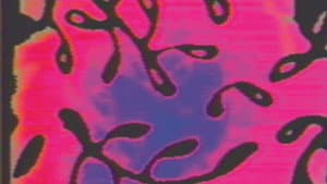 Alchemy of the Word (Altered Video Version) — foto 1