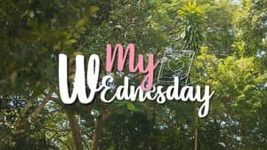 My Wednesday — foto 1