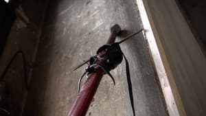 Destreza y Honor — foto 2