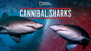 Cannibal Sharks — foto 5