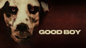 Good Boy — foto 9