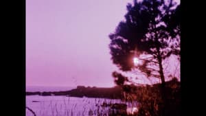 Matter of Clarity — foto 8