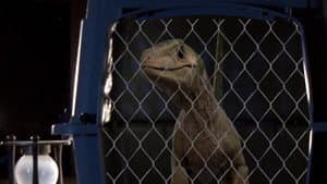 David's Dinosaur — foto 6