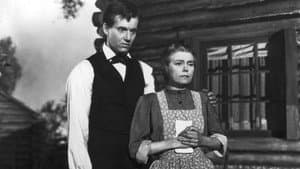 Young Mr. Lincoln — foto 8