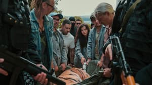 Tigru — foto 1