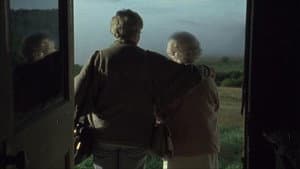 The Company of Strangers — foto 7
