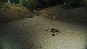 Junkyard/Fire Valley — foto 1