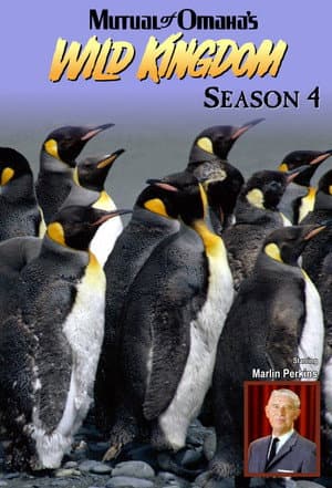 Temporada 4